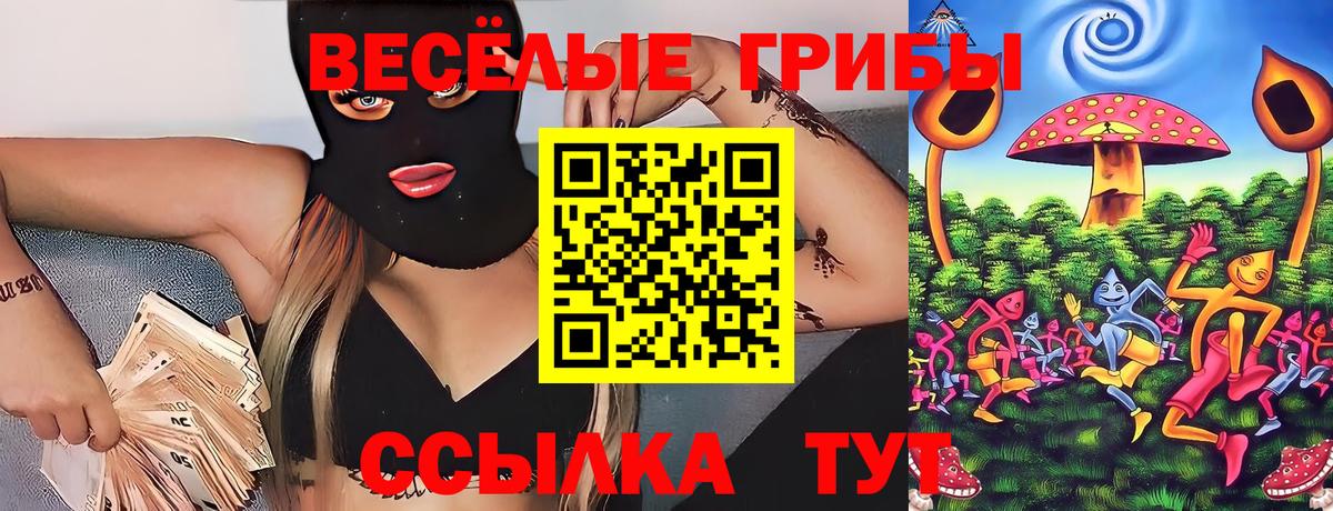 Чита  Галлюциногенные грибы Psilocybe  Вход с VPN 