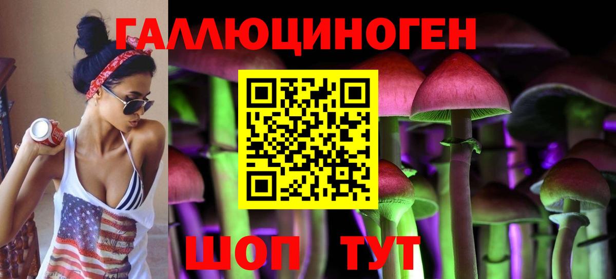 Псилоцибиновые грибы Cubensis  Псилоцибиновые грибы Psilocybe  Чита 